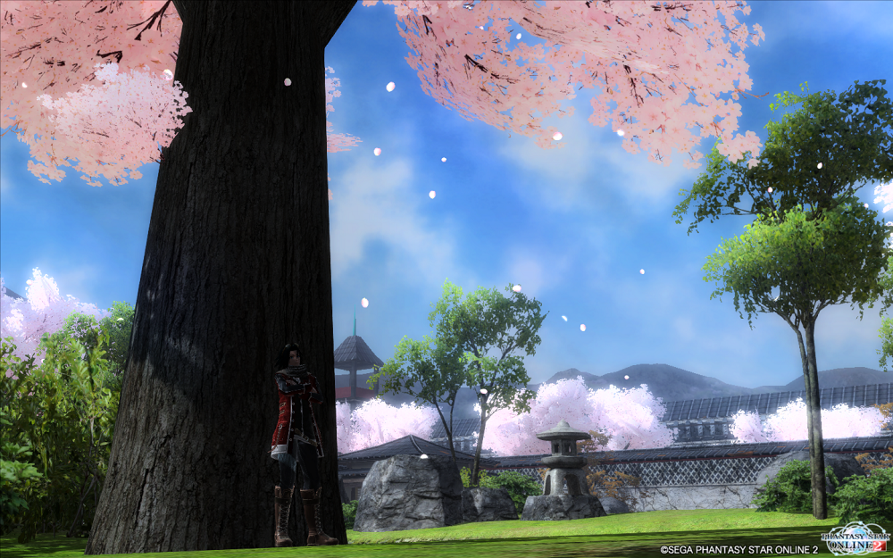 pso20160104_003543_047