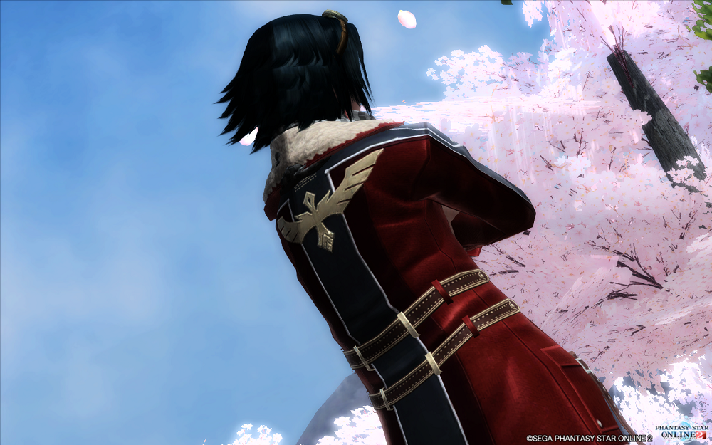 pso20160104_004150_051